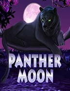 dragon bonus sbobet คือ เกมที่ไม่ควรพลาดในยุคนี้!